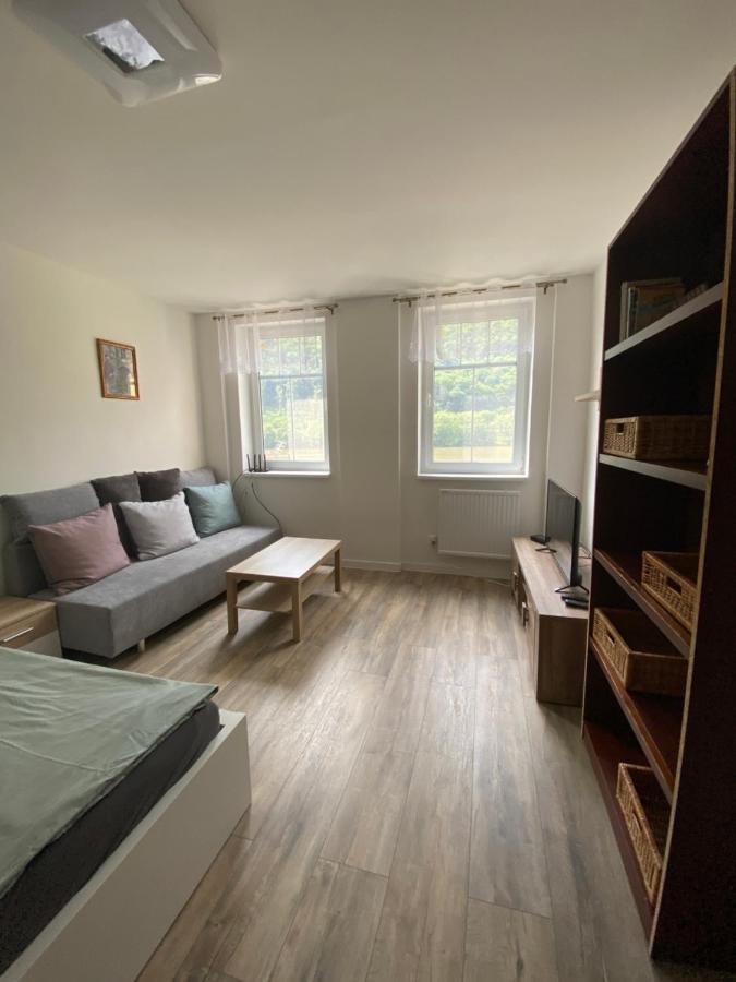 Apartmany U Viaduktu 46 Ústí nad Labem エクステリア 写真