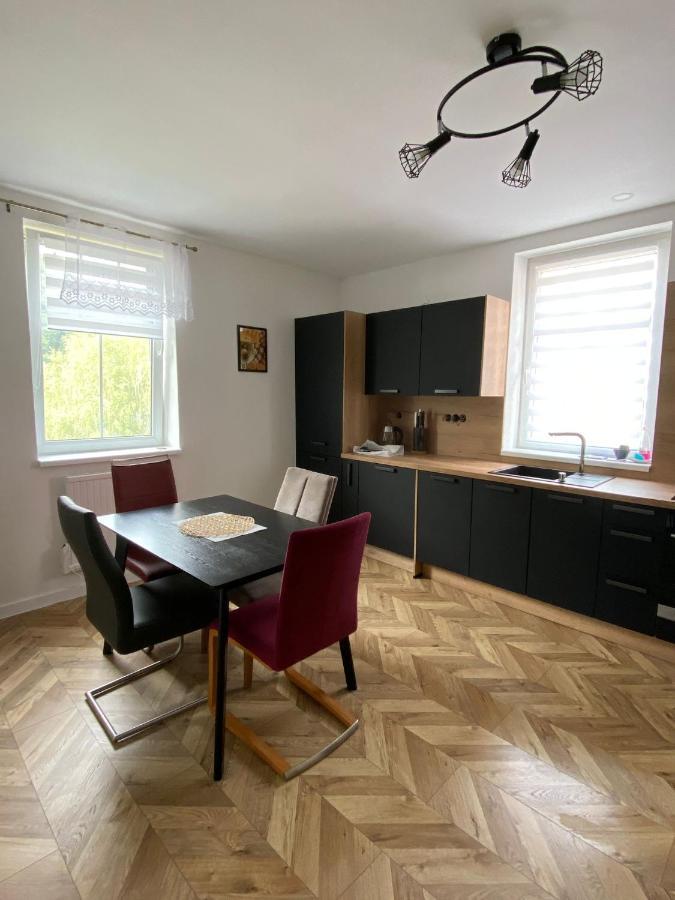 Apartmany U Viaduktu 46 Ústí nad Labem エクステリア 写真