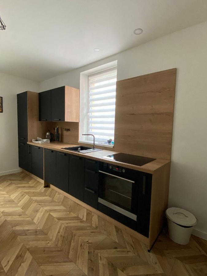 Apartmany U Viaduktu 46 Ústí nad Labem エクステリア 写真